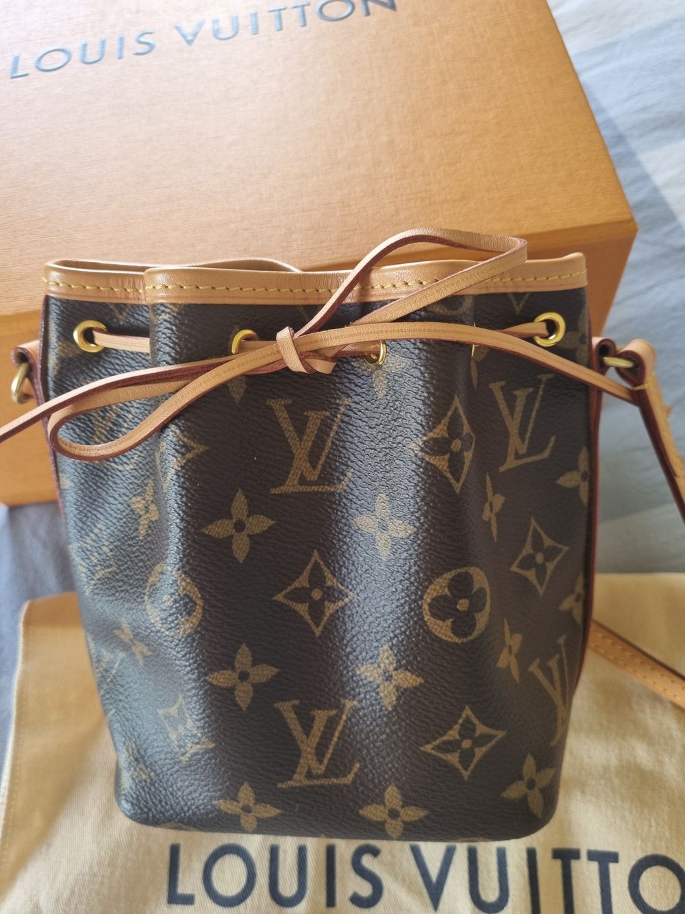 Louis Vuitton Neo Nano