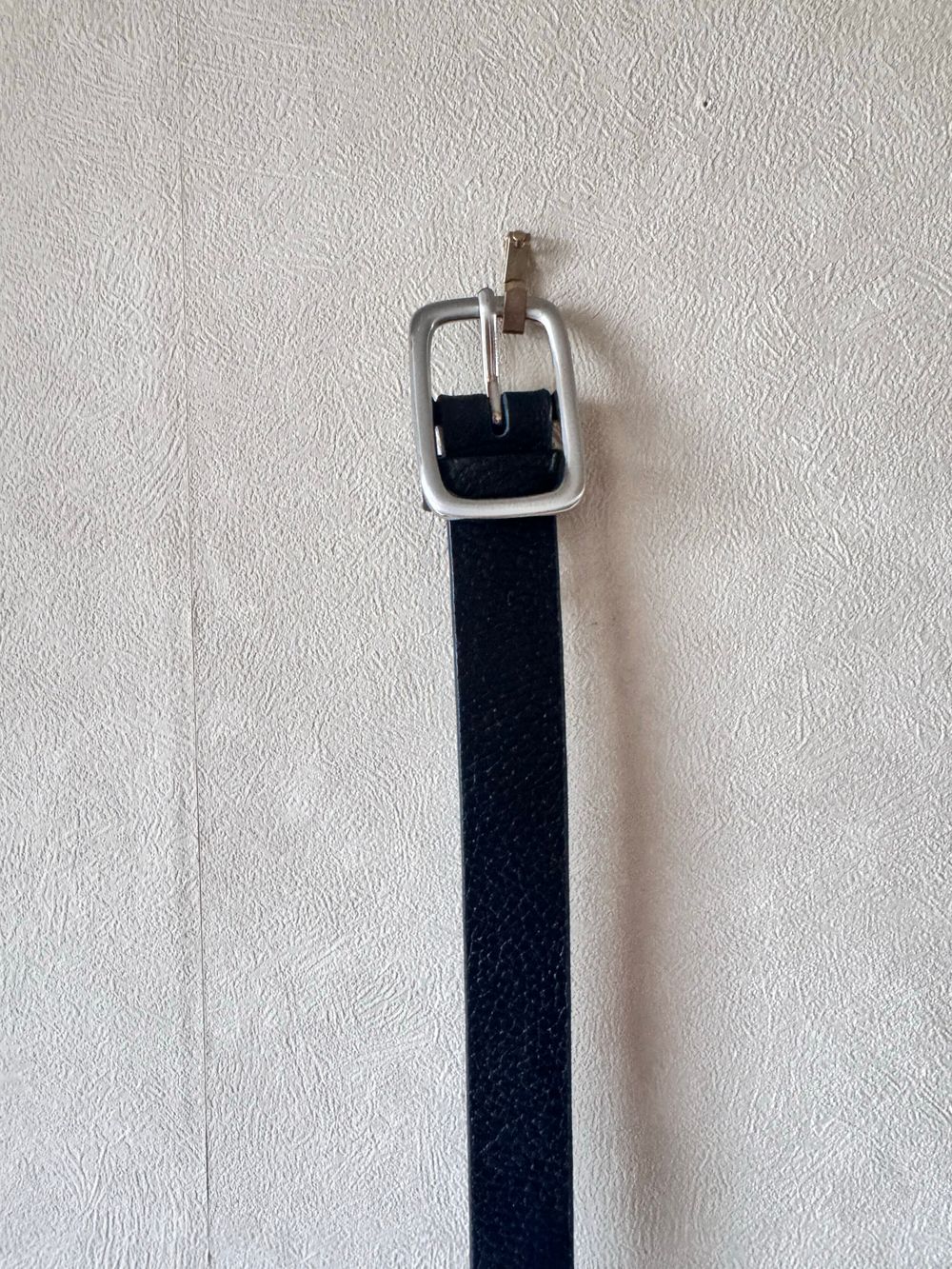 Status Anxiety Belt