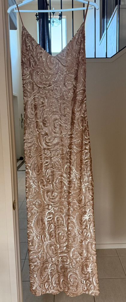 anine bing gold dress Anine Bing