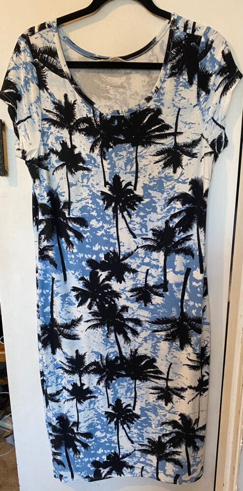 No Issue Dress Sz12