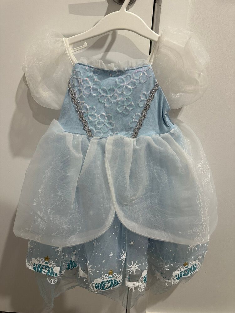 Cinderella Dress