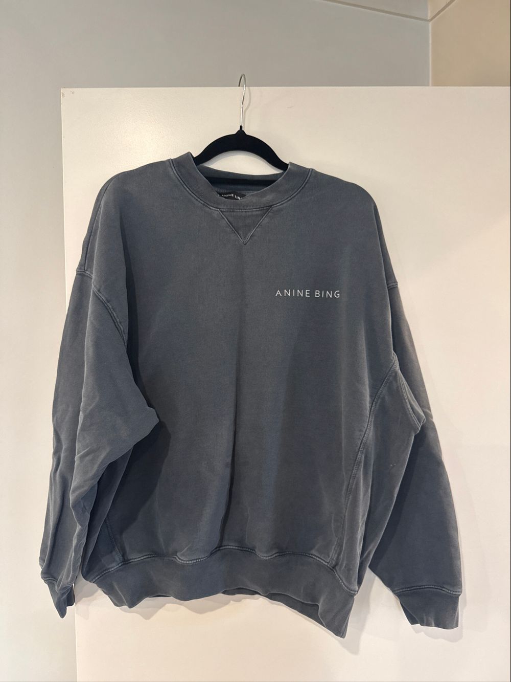 Anine Bing Grey Snake Graphic Sweatshirt