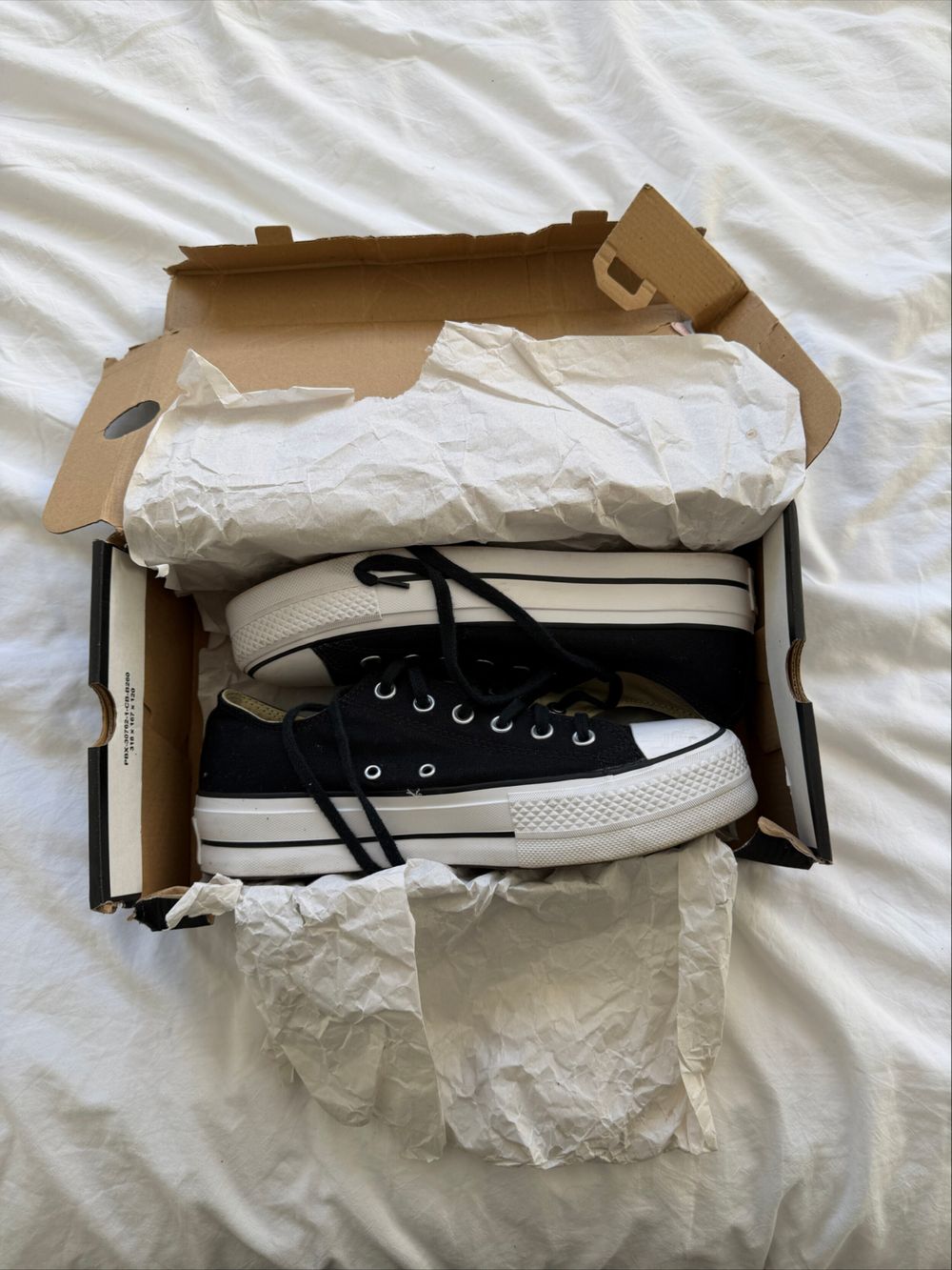 Converse Black All Star Low Top Sneakers