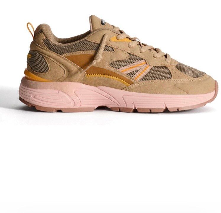 HOFF Rhode Island trainers