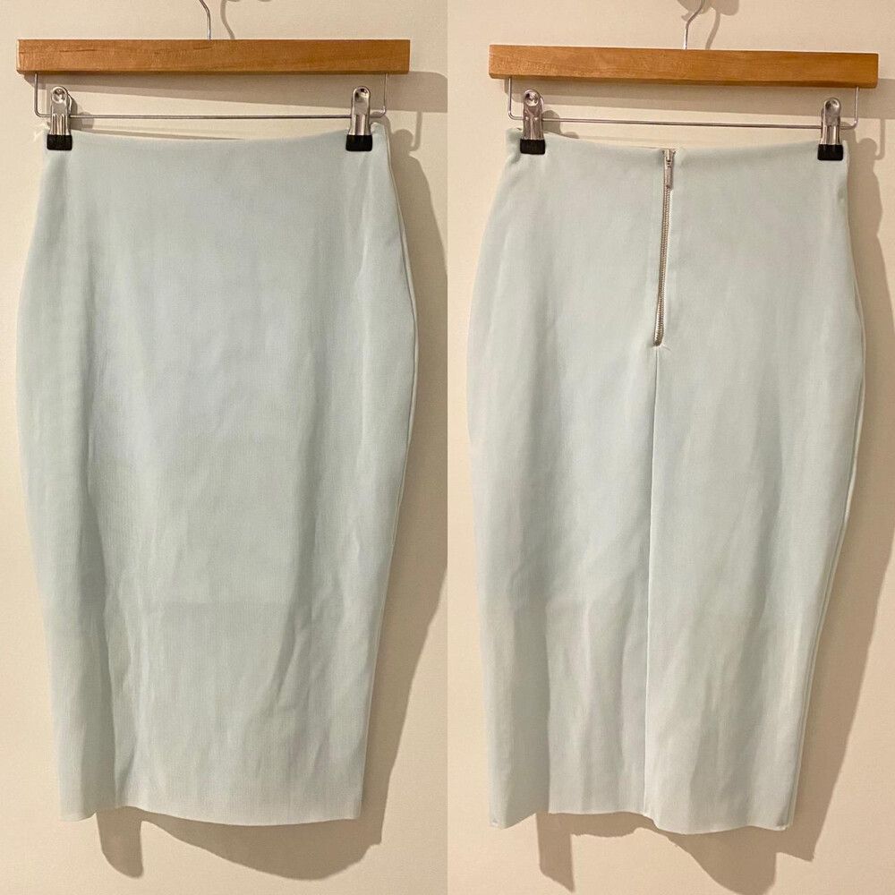 Mesh Pencil Skirt