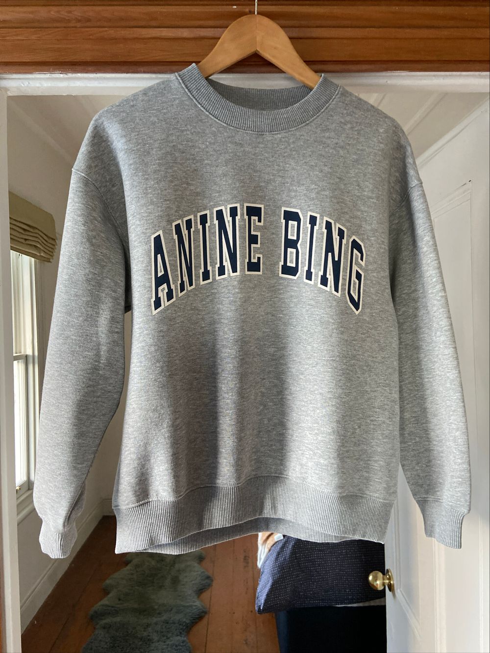Anine Bing Grey Spencer Sweatshirt