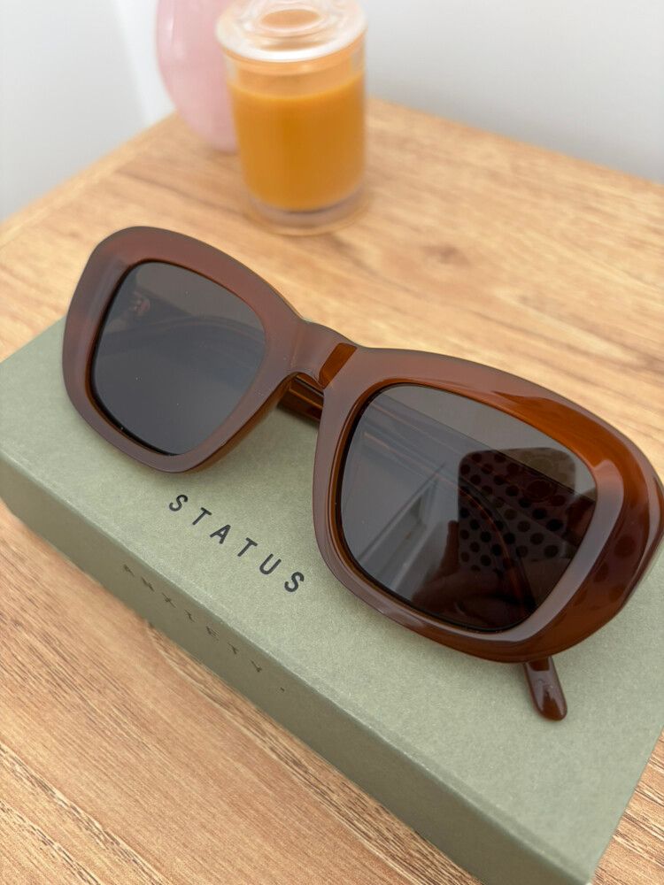 Status Anxiety Sunglasses - Brown