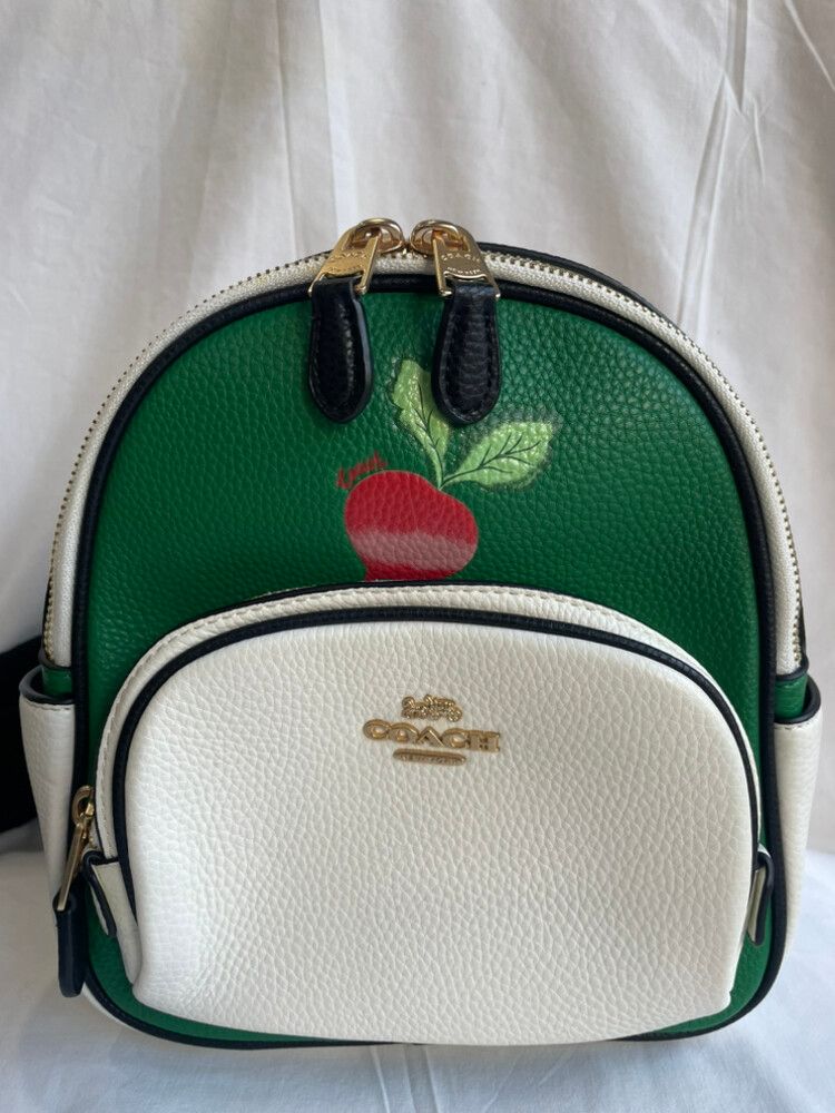 Authentic Coach Green White Backpack