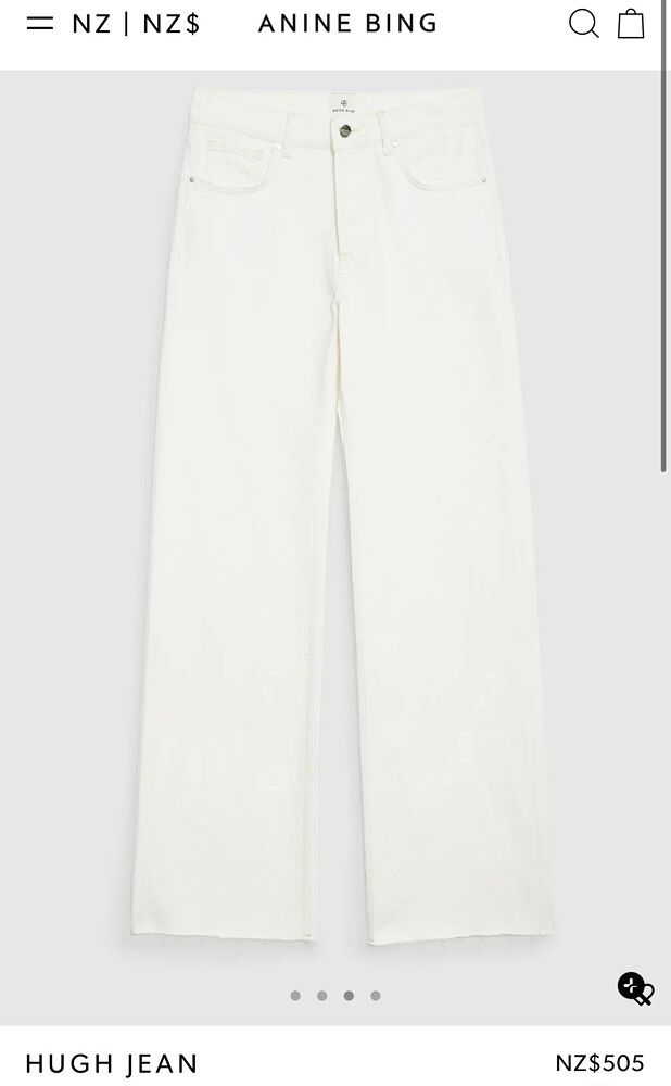 Anine Bing Hugh jeans shorter length