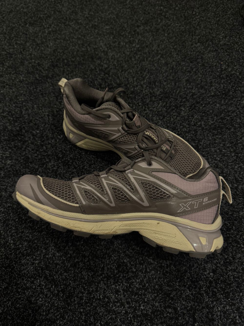 Salomon Xt-6 Expanse Sneakers