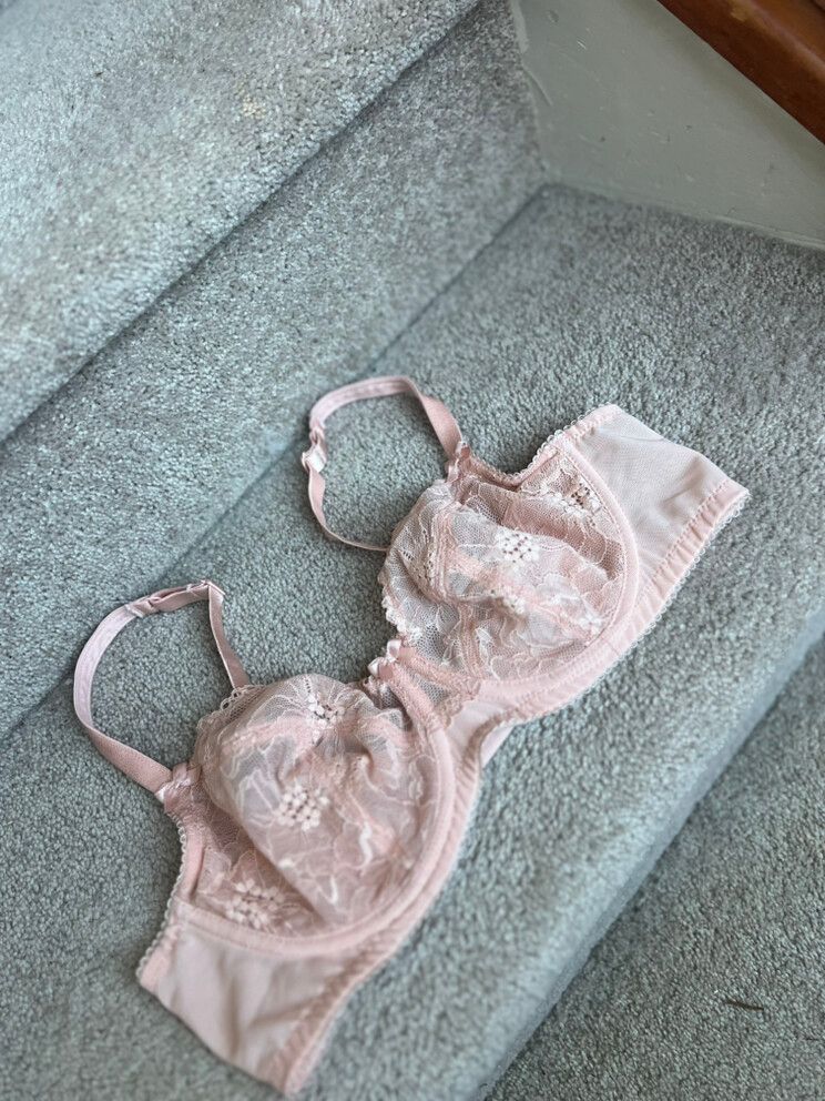 Fayreform Pink Lace Bra