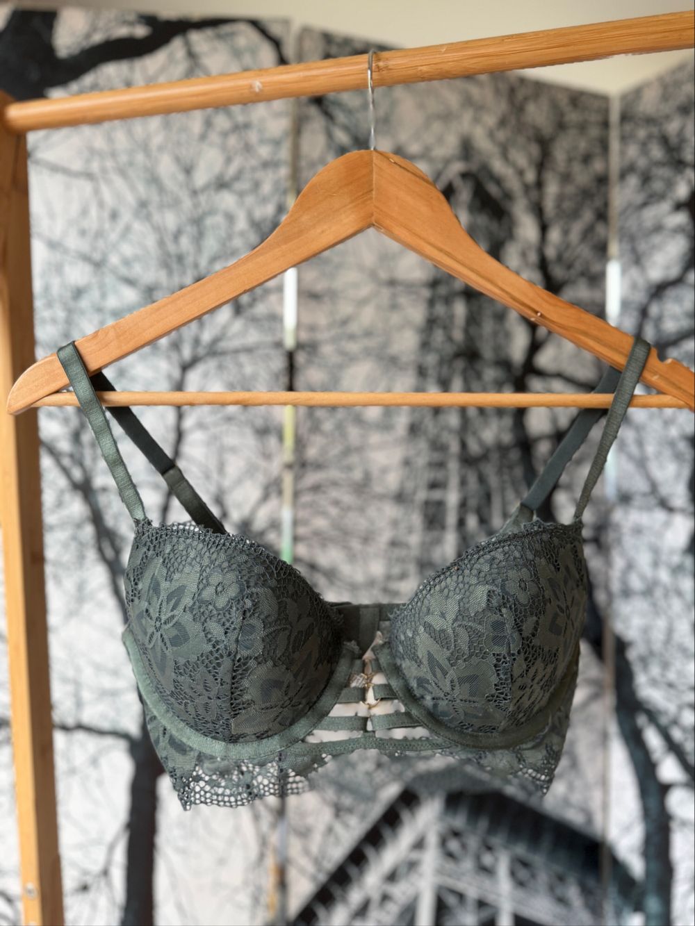Bras n Things Green Lace Bra 12c Push-up
