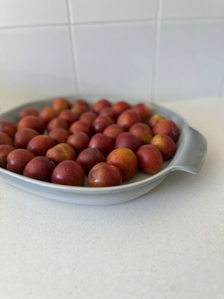 VINTAGE Temuka Pottery Oven Dish