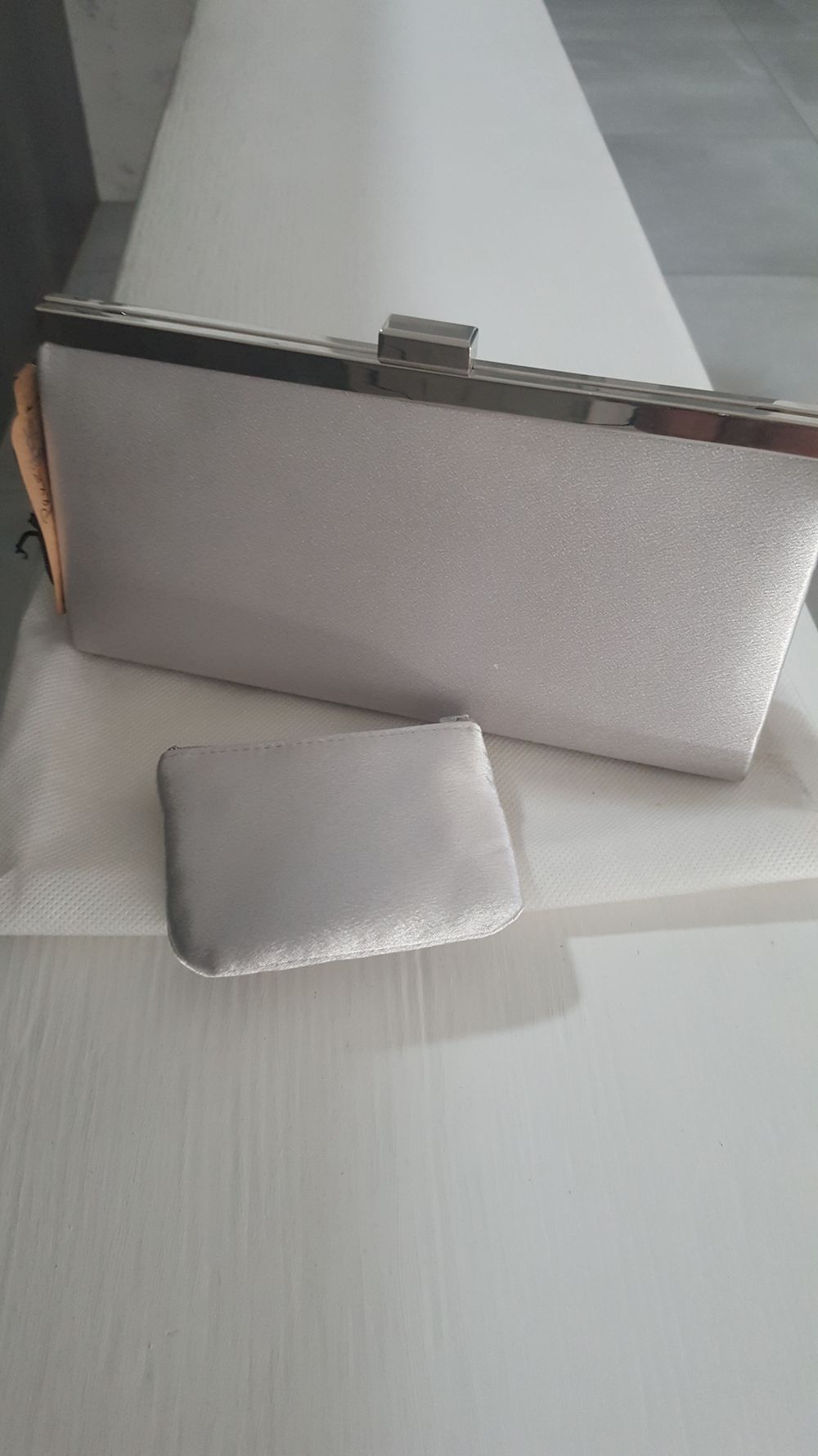 Silver Clutch Evening Bag