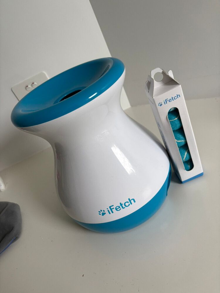 ifetch , dog toy