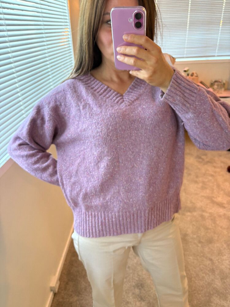 Green Label Relaxing Purple V-neck Jumper