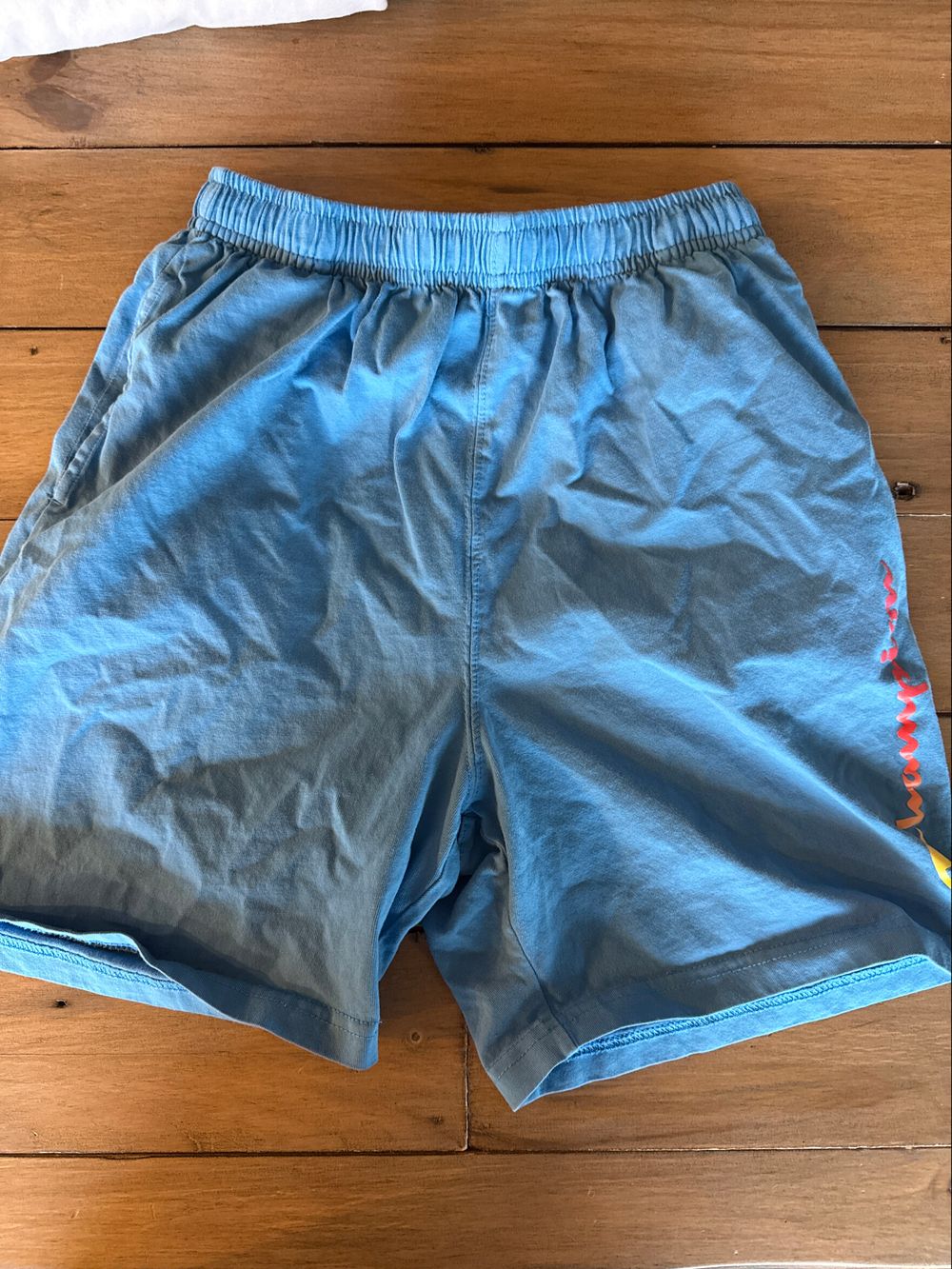 Champion Shorts