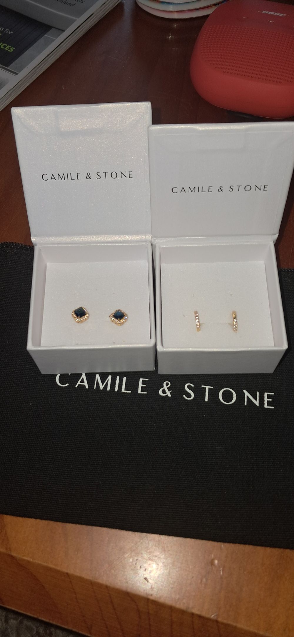 Camile & Stone Earrings