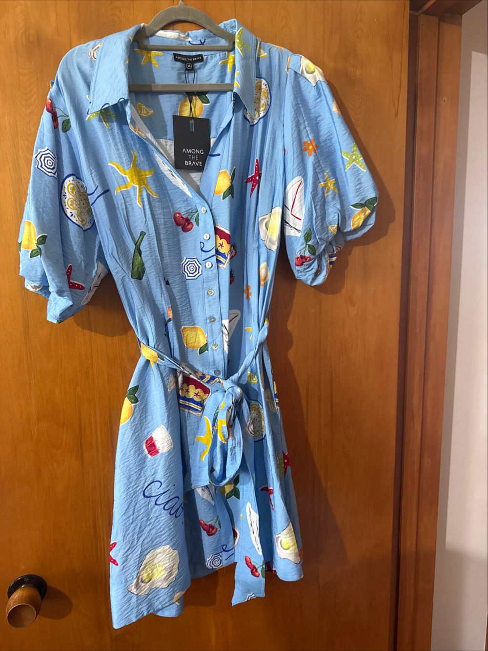 Among The Brave Blue Printed Shirt Dress