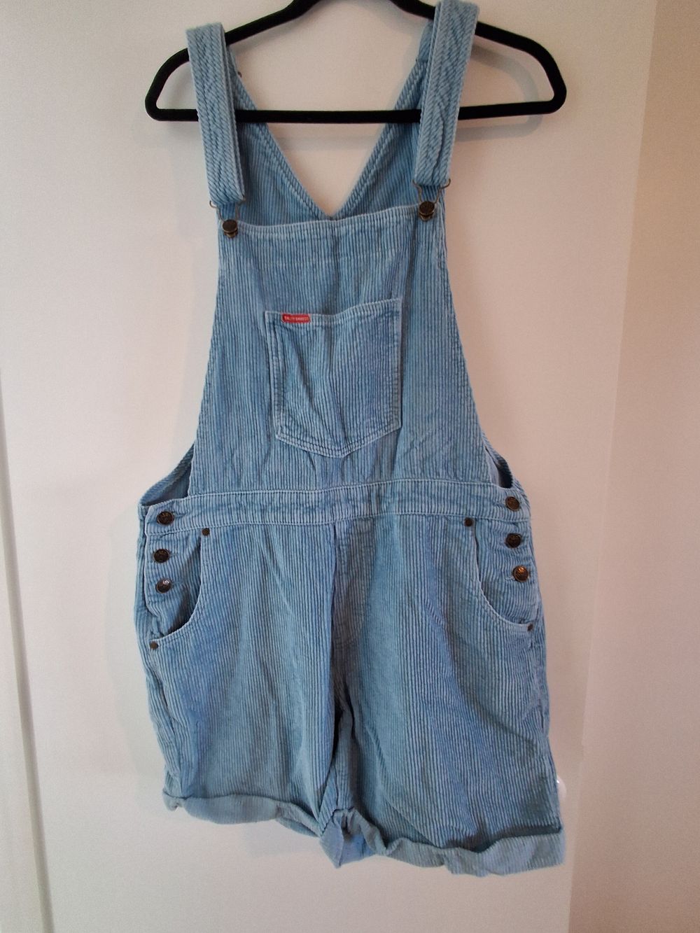 Salty Shreds Blue Corduroy Overalls