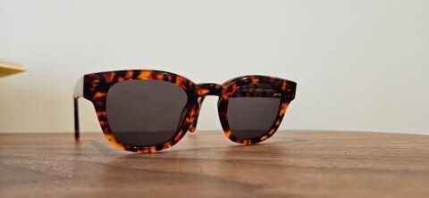 Yonder Sunglasses (retail for $299)