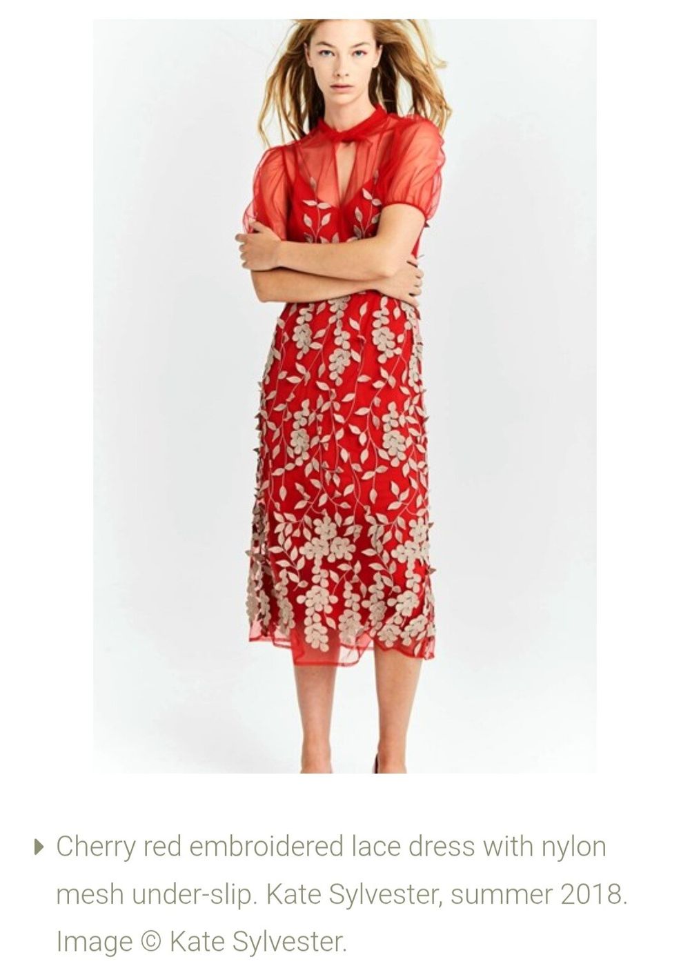 chinese dress ladies Kate Sylvester Lace Dress - S