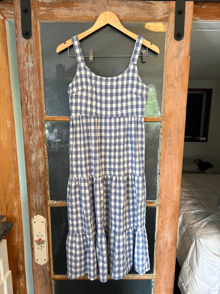 Thing Thing blue and white gingham dress