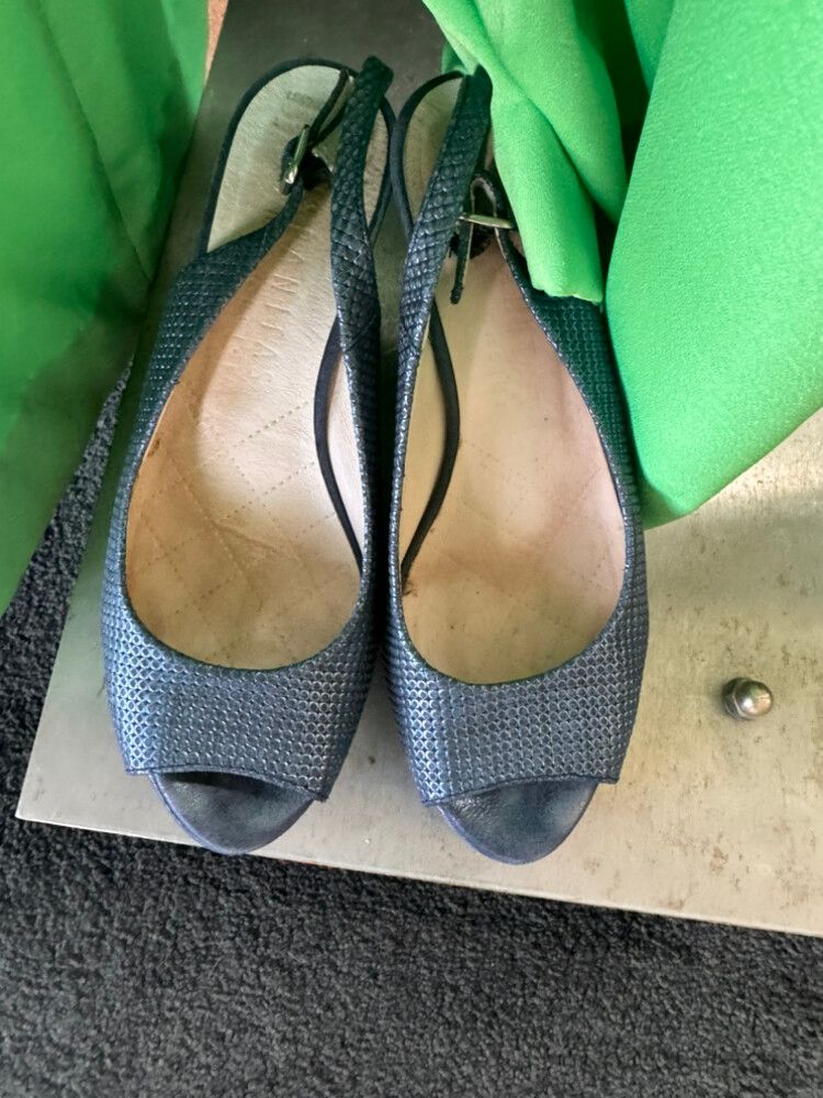 Hispinatas Metallic Navy Sling back Heels