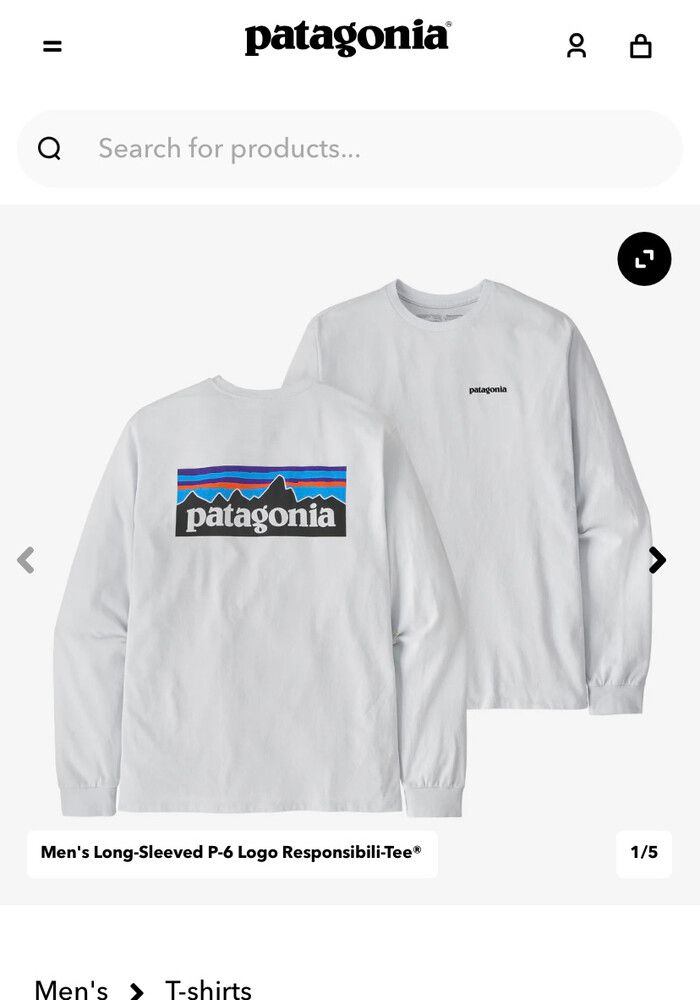 Patagonia Branded Tee