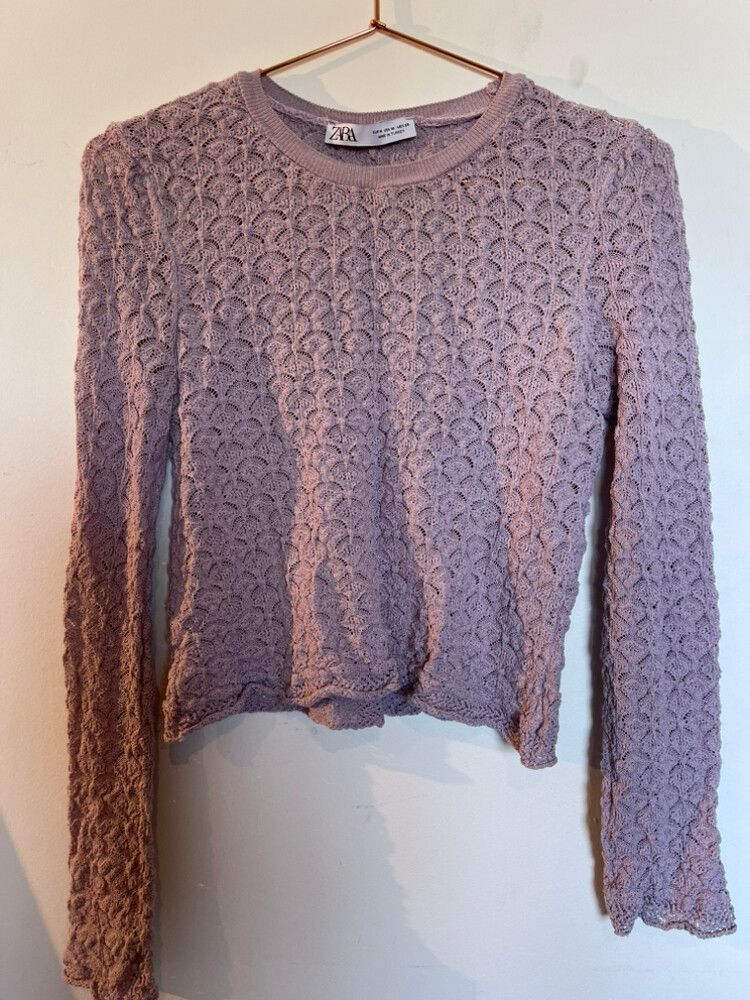 Zara Purple Long Sleeve Top