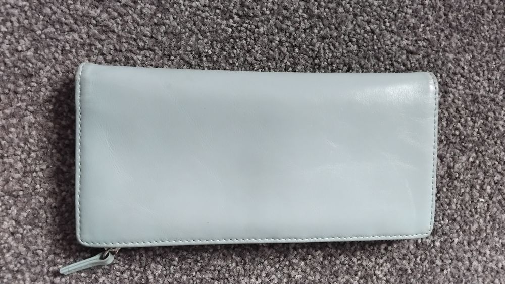 Status Anxiety Baby Blue Wallet