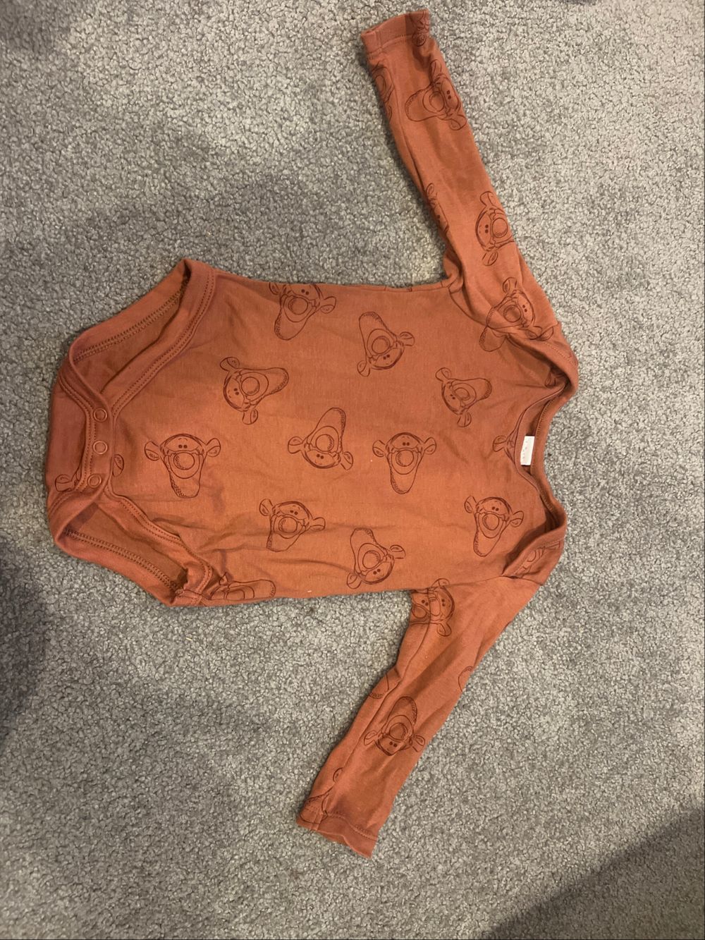 Disney Brown Bodysuit