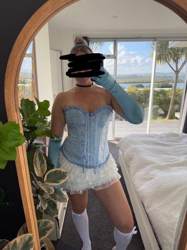 Cinderella corset costume