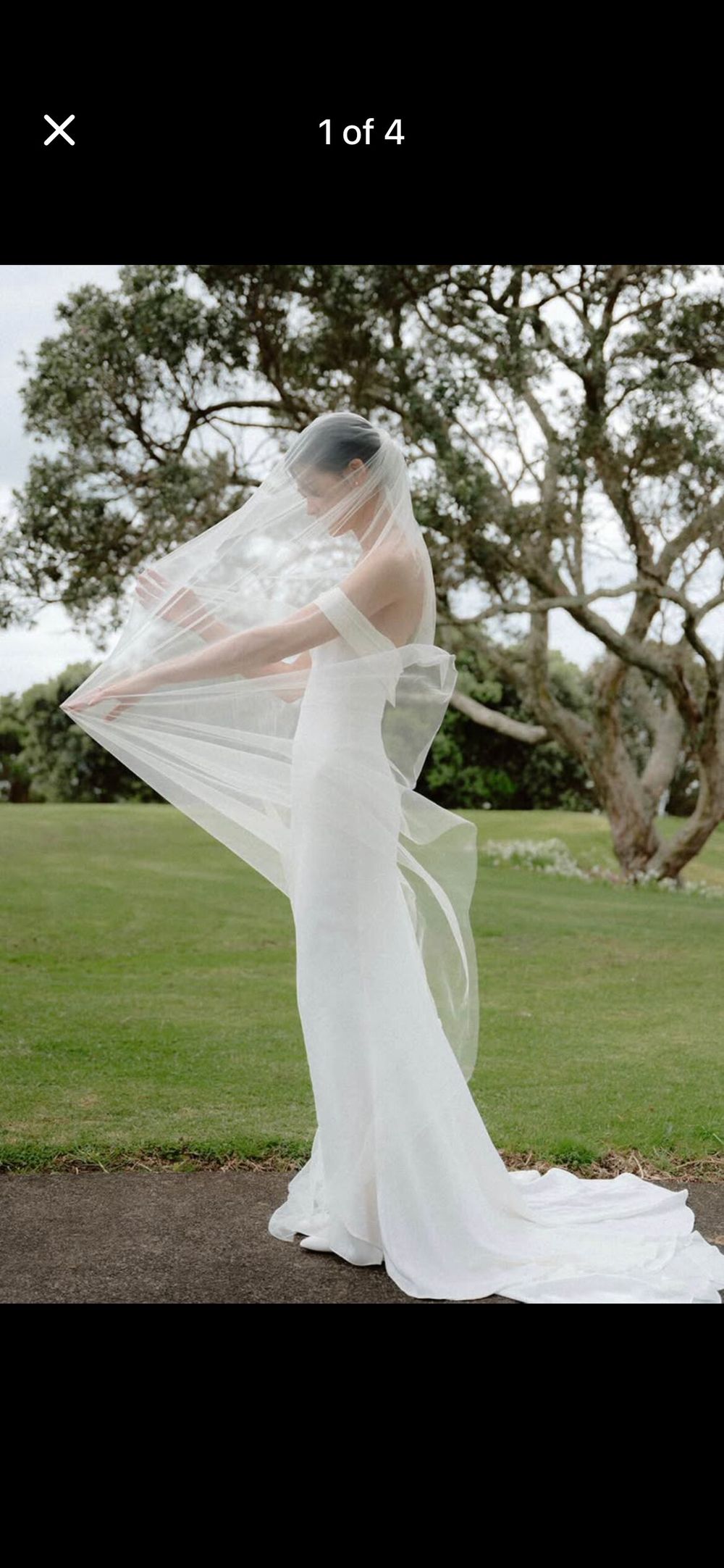 Wedding Dress and Veil