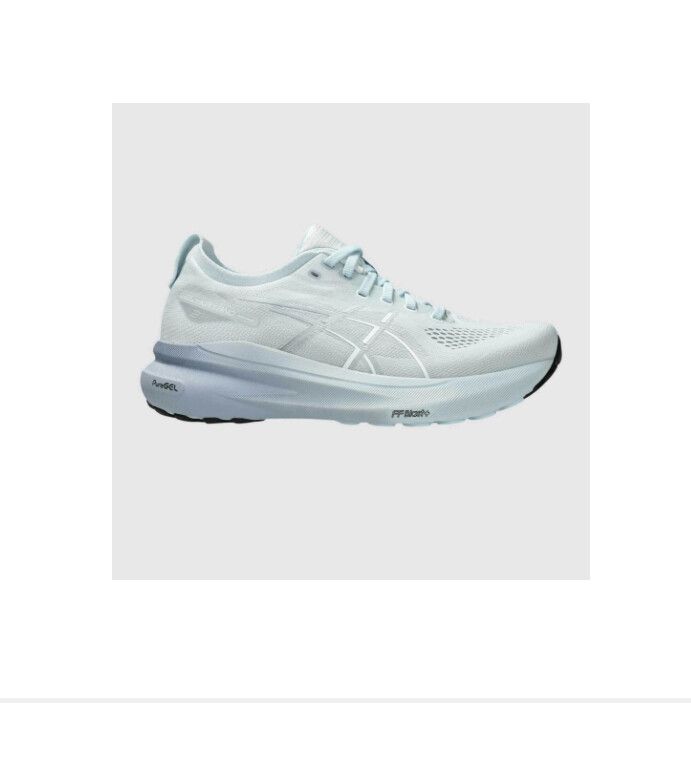 ASICS Gel Kayano 31