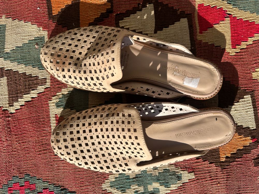 Isabella Anselmi slides (42)
