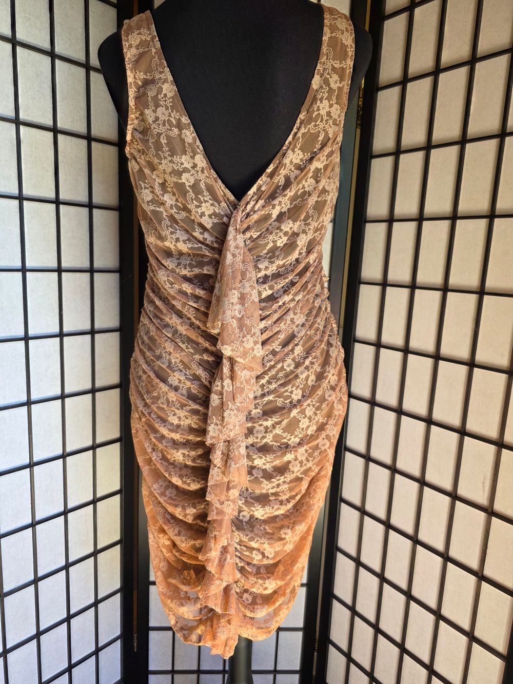Annah Stretton Lace Sleeveless Dress Medium