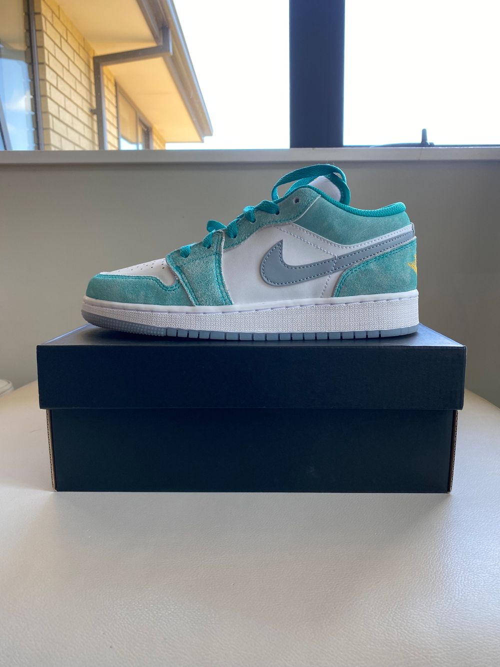 Air Jordan 1 Low SE (GS)