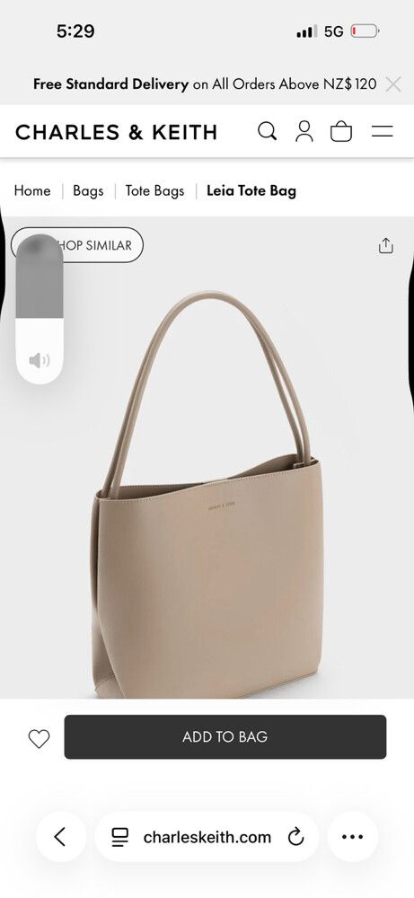 Charles & Keith Leia Tote Bag