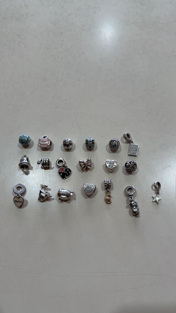Assorted Pandora Charms