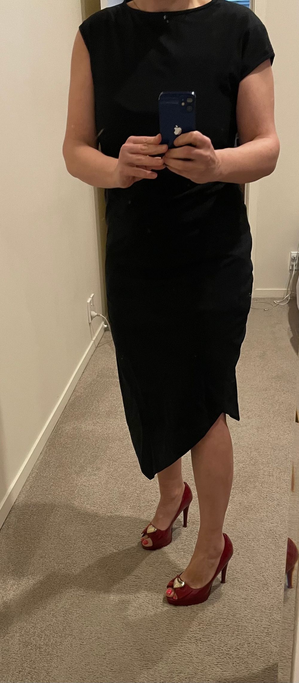 Taylor fitted office dress