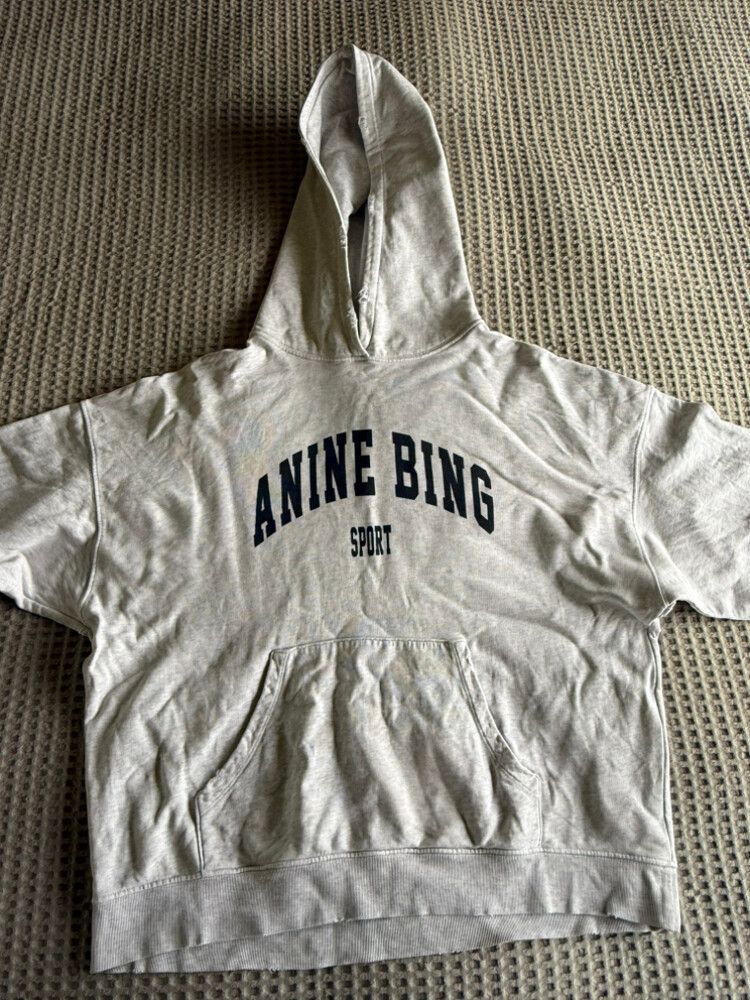 Anine Bing Harvey Hoodie