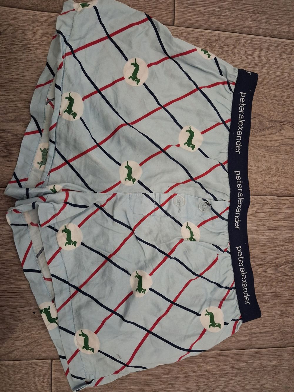 Peter Alexander Blue Plaid Shorts