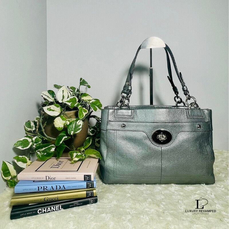 COACH Silver pebble leather Handbag (BH-CO-594)