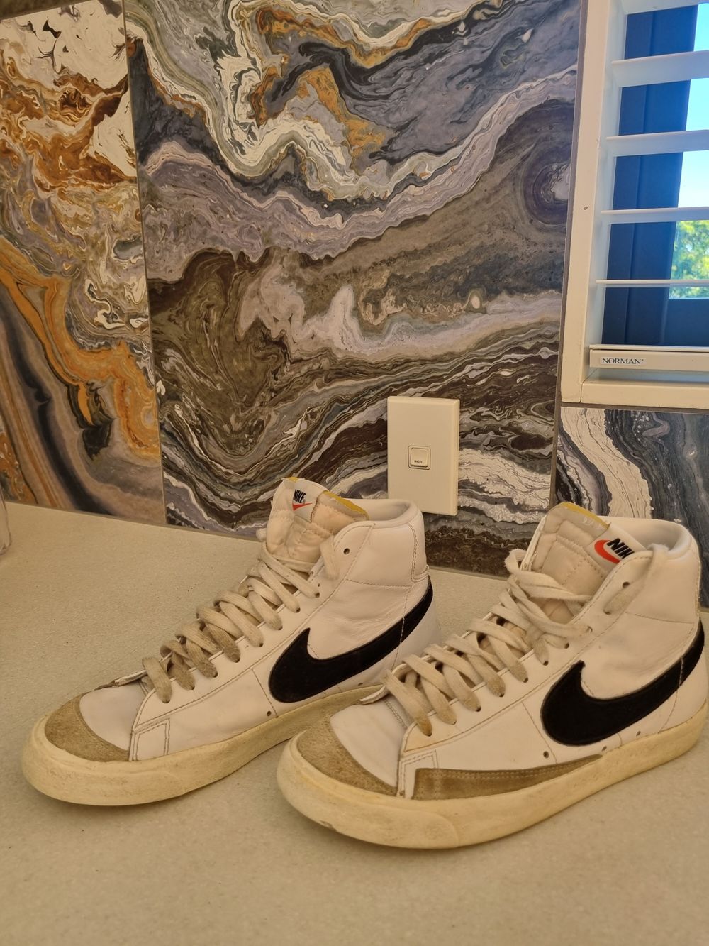 Nike Skate Shoes