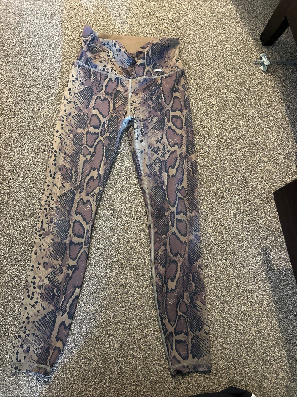 Brown/khaki Snake Print Cobra Tights