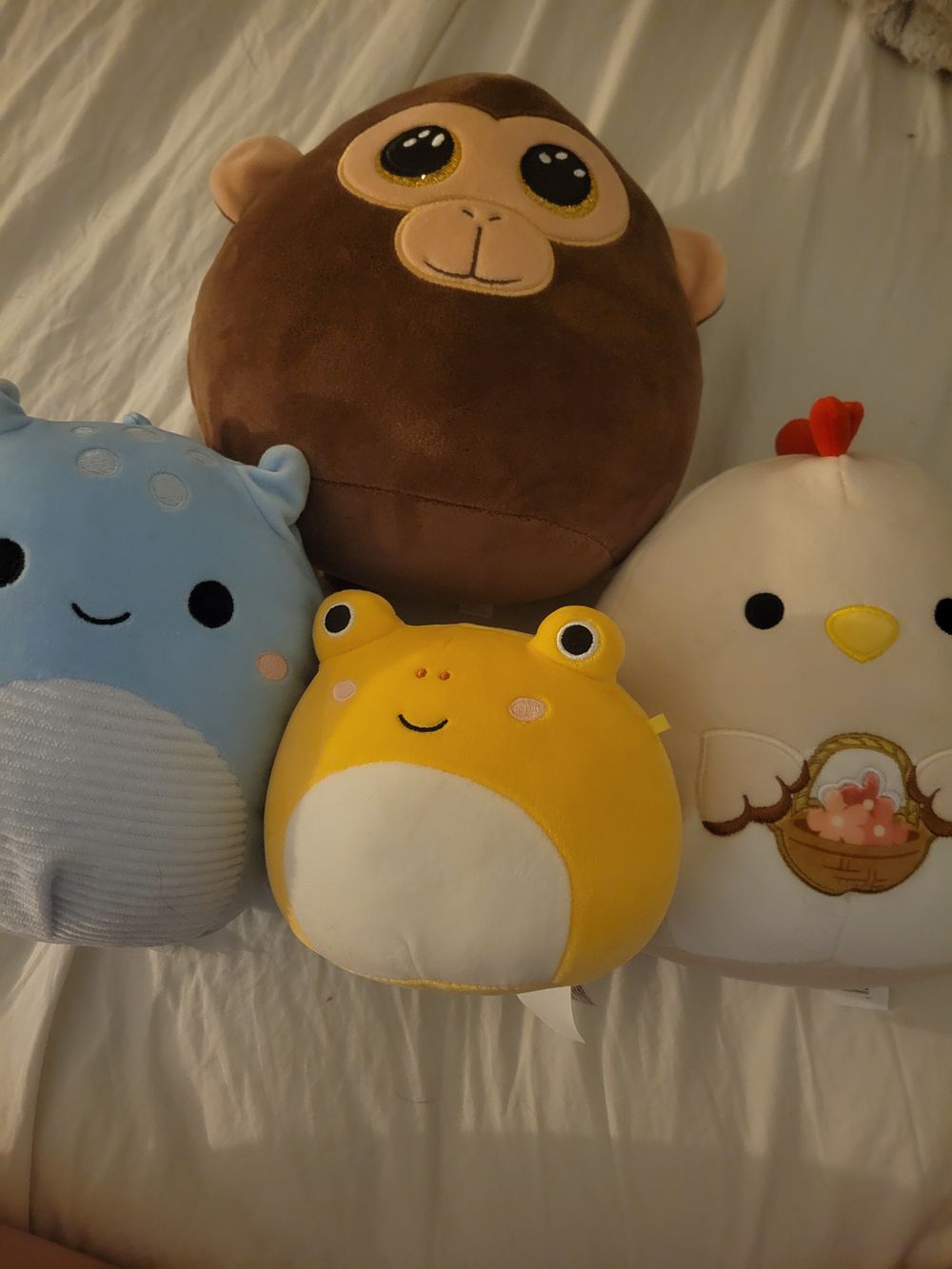 X3 squishmallows x1 TY