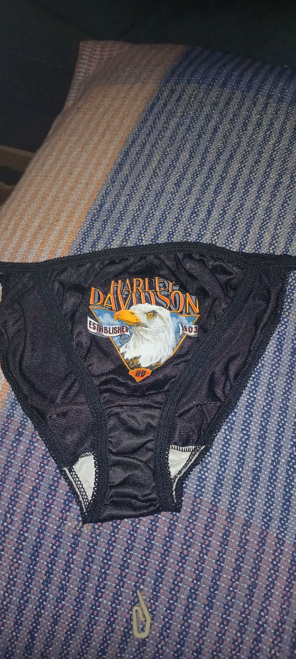 Vintage Harley-Davidson Black Briefs