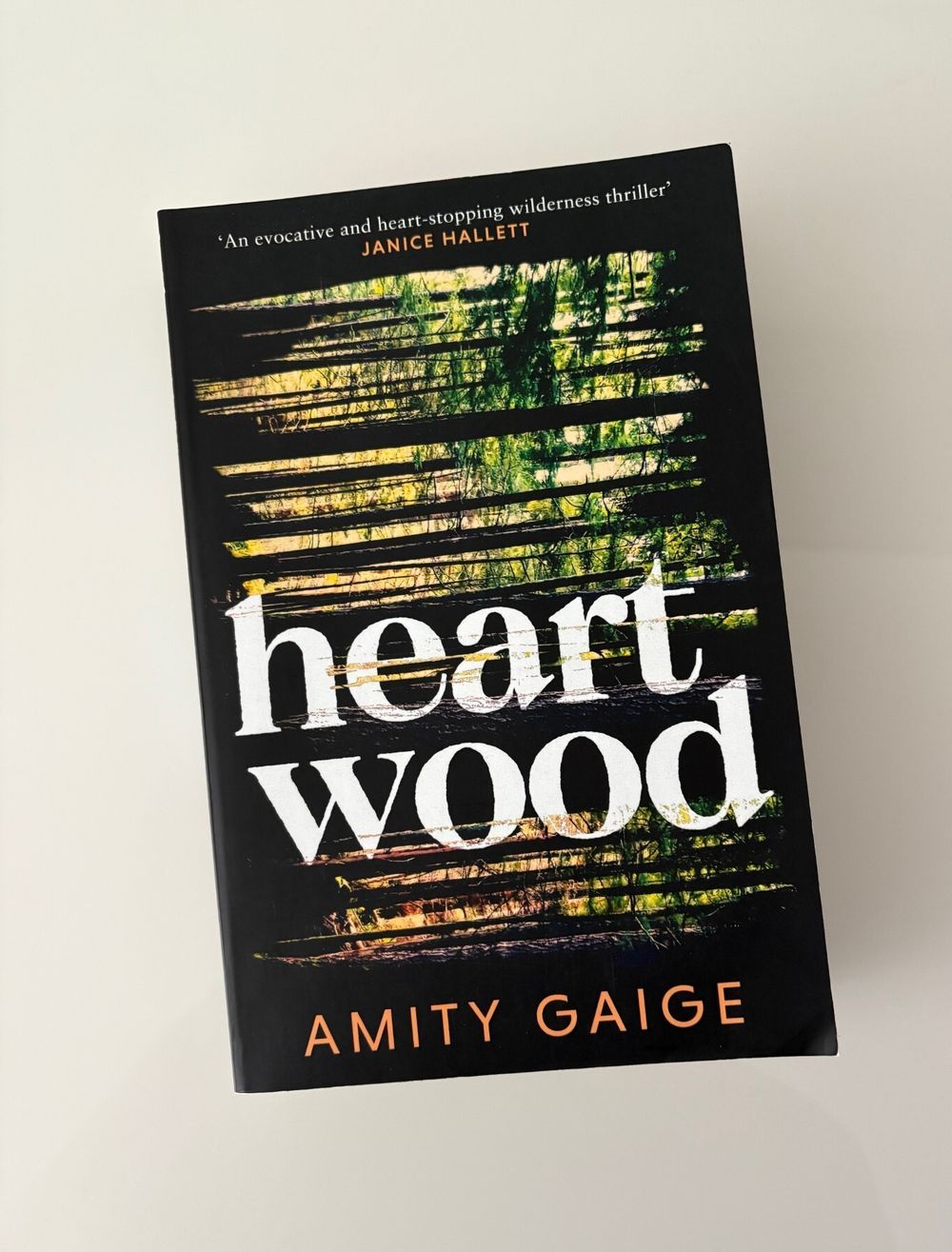 Heartwood by Amity Gaige