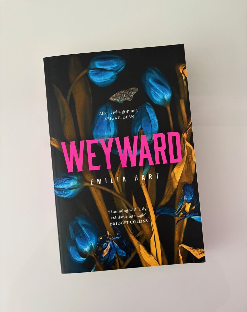 Weyward by Emilia Hart